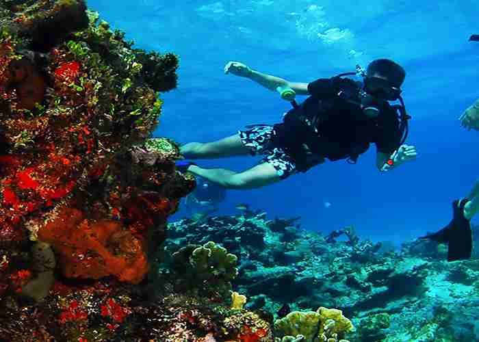 Extra Fun Divers-Makadi