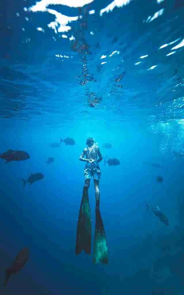 The Night Diver Specialty Course