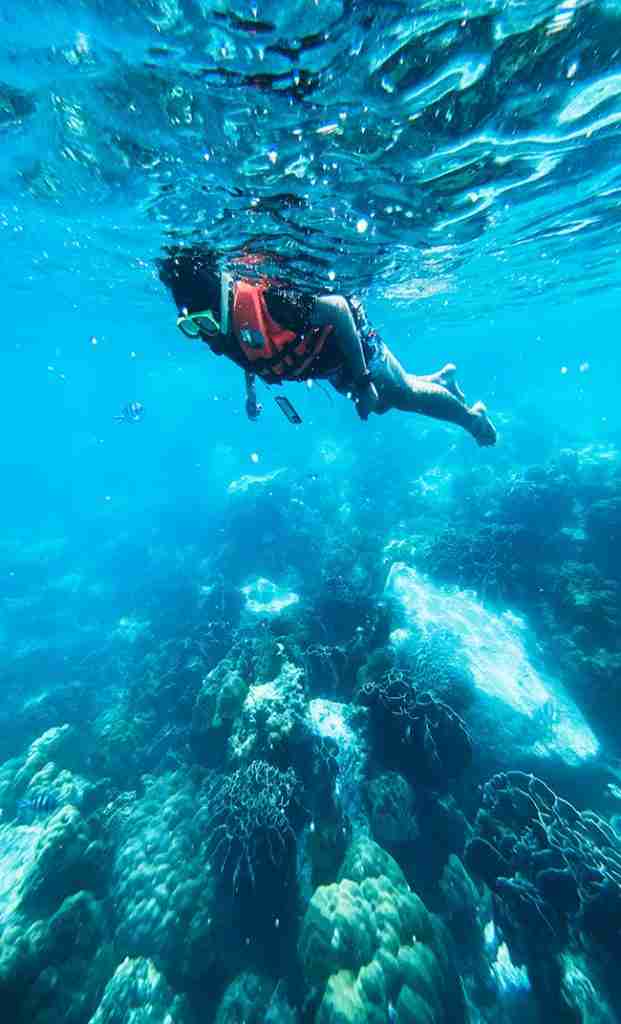 The PADI Wreck Specialty Course teaches you the ins