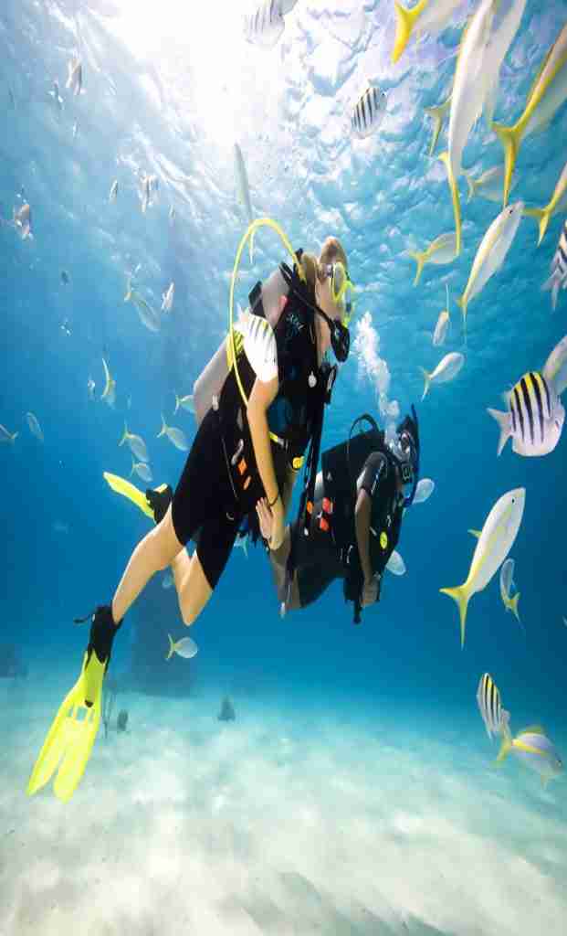 wreck-dive corses Makadi