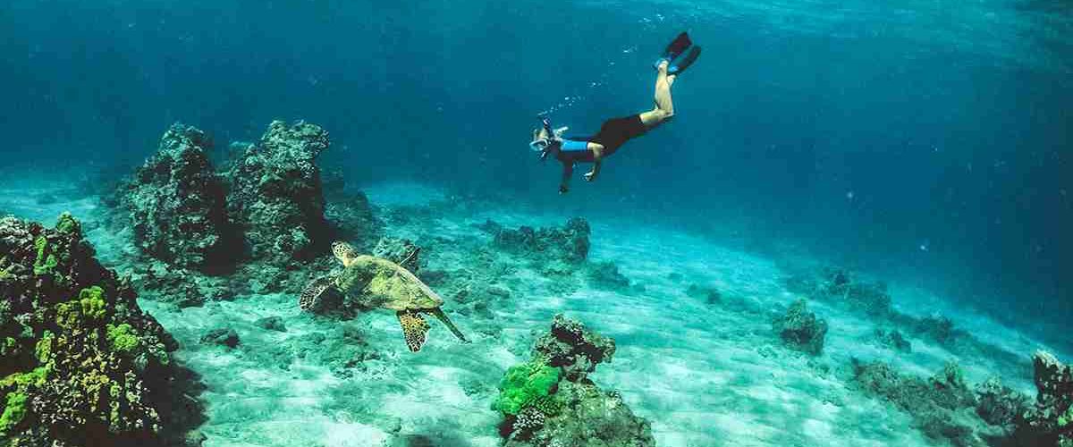 Referral Open Water Diver Course